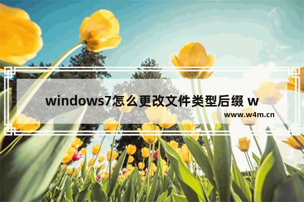 windows7怎么更改文件类型后缀 windows7如何更改文件类型后缀