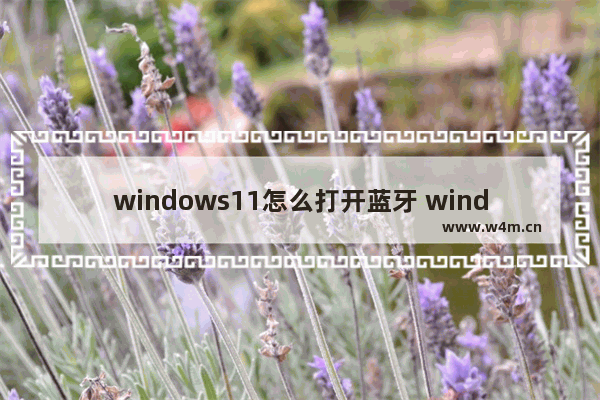 windows11怎么打开蓝牙 windows11打开蓝牙教程