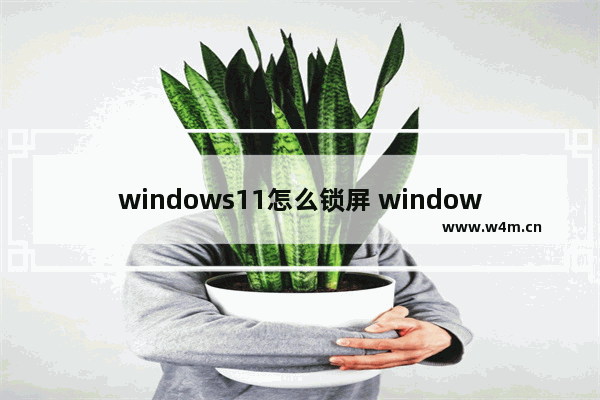 windows11怎么锁屏 windows11锁屏教程