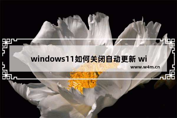 windows11如何关闭自动更新 windows11关闭自动更新方法