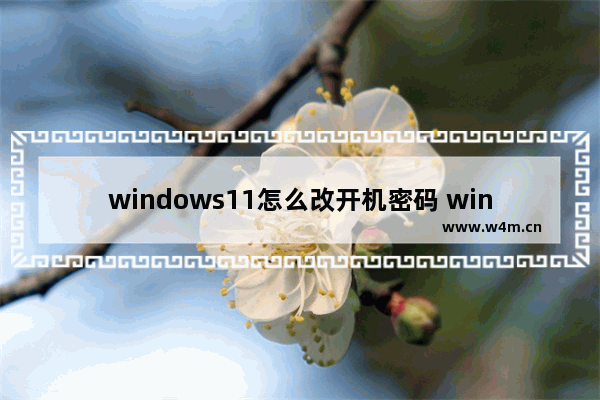 windows11怎么改开机密码 windows11改开机密码方法