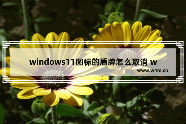 windows11图标的盾牌怎么取消 windows11图标的盾牌方法取消