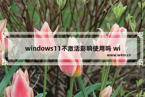 windows11不激活影响使用吗 windows11不激活会怎么样