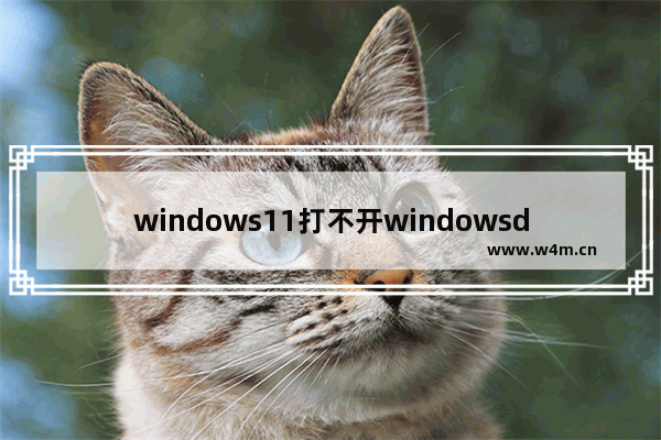 windows11打不开windowsdefender怎么办 windows11打不开windowsdefender解决办法