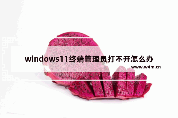 windows11终端管理员打不开怎么办 windows11终端管理员打不开解决办法