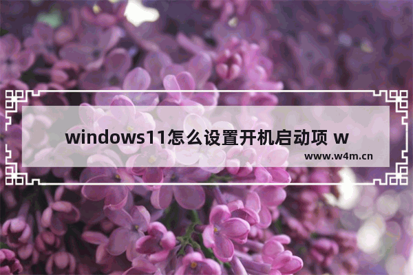 windows11怎么设置开机启动项 windows11设置开机启动项方法