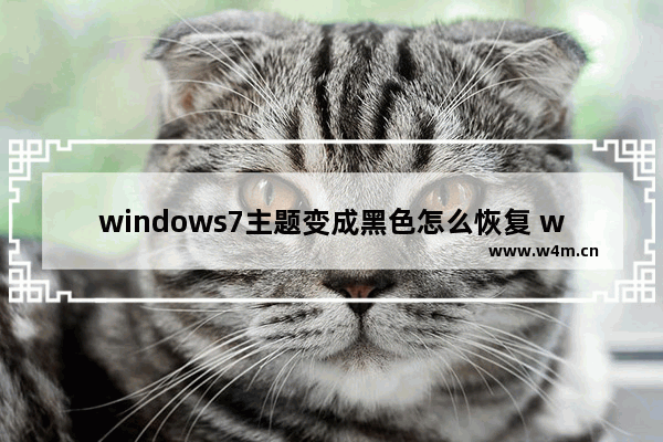 windows7主题变成黑色怎么恢复 windows7电脑主题变成黑色怎么调回来