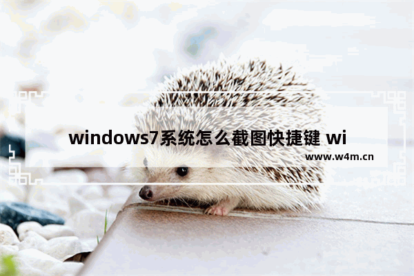 windows7系统怎么截图快捷键 windows7系统截图快捷键是什么