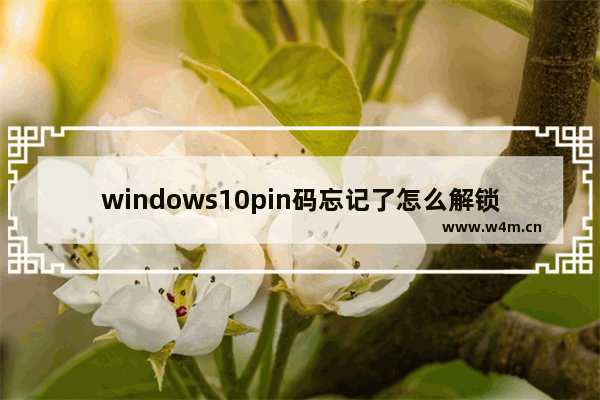 windows10pin码忘记了怎么解锁 windows10pin码忘记了解锁教程