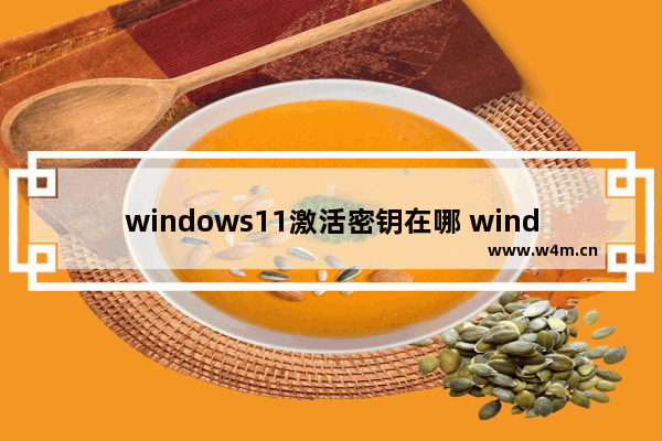 windows11激活密钥在哪 windows11激活密钥位置一览