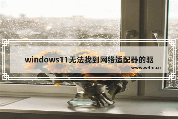 windows11无法找到网络适配器的驱动程序怎么办 windows11无法找到网络适配器的驱动程序解决办法