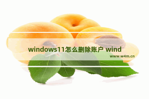 windows11怎么删除账户 windows11删除账户方法