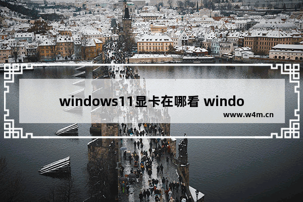 windows11显卡在哪看 windows11显卡查看教程