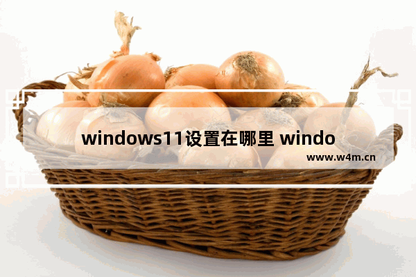 windows11设置在哪里 windows11设置位置介绍