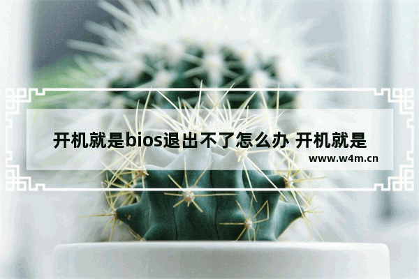 开机就是bios退出不了怎么办 开机就是bios退出不了如何解决