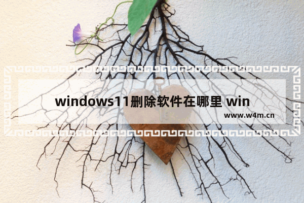 windows11删除软件在哪里 windows11删除软件方法介绍