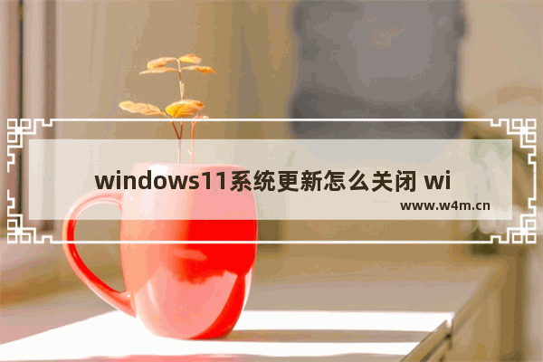 windows11系统更新怎么关闭 windows11系统更新关闭教程