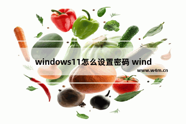 windows11怎么设置密码 windows11设置密码方法