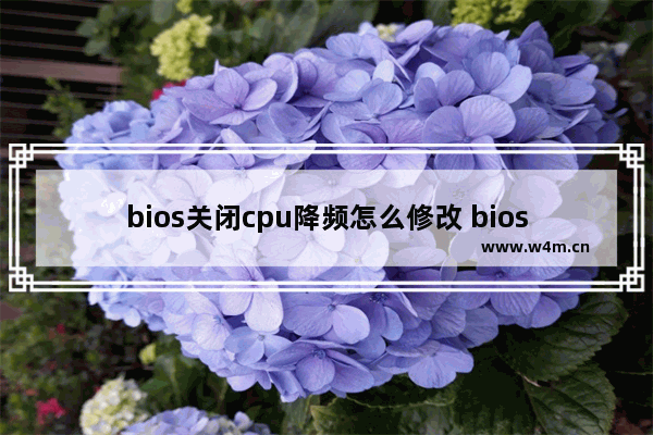 bios关闭cpu降频怎么修改 bios关闭cpu降频如何修改