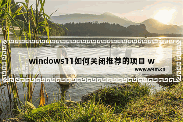 windows11如何关闭推荐的项目 windows11关闭推荐的项目办法