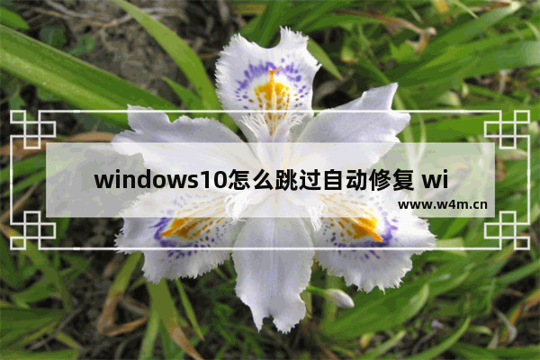 windows10怎么跳过自动修复 windows10跳过自动修复方法