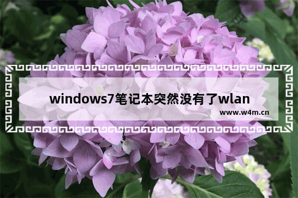 windows7笔记本突然没有了wlan选项怎么回事 windows7笔记本突然没有了wlan选项解决方法