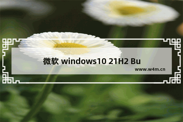 微软 windows10 21H2 Build 19044.1947 (KB5016688) Release 预览版发布（附更新内容）