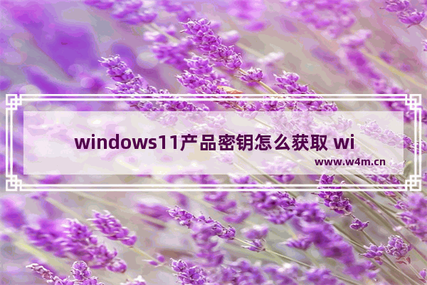 windows11产品密钥怎么获取 windows11产品密钥获取方法