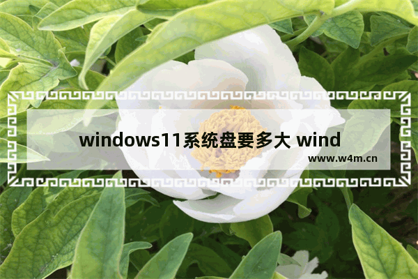 windows11系统盘要多大 windows11系统盘需要多少G