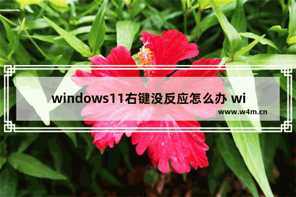 windows11右键没反应怎么办 windows11右键没反应解决办法