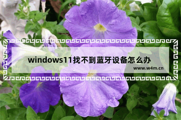 windows11找不到蓝牙设备怎么办 windows11找不到蓝牙设备解决办法