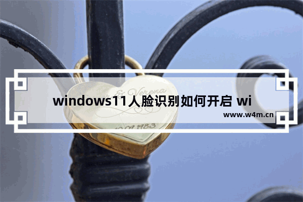 windows11人脸识别如何开启 windows11人脸识别开启教程