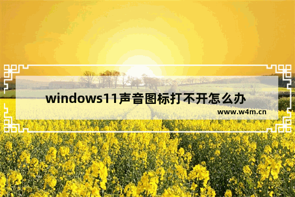 windows11声音图标打不开怎么办 windows11声音图标打不开解决办法