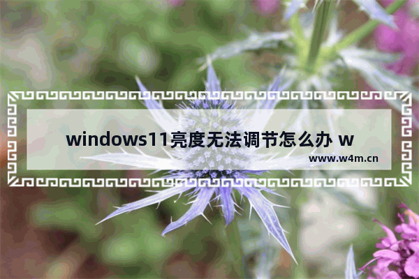 windows11亮度无法调节怎么办 windows11亮度无法调节解决办法