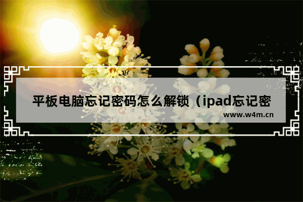 平板电脑忘记密码怎么解锁（ipad忘记密码的4种办法）