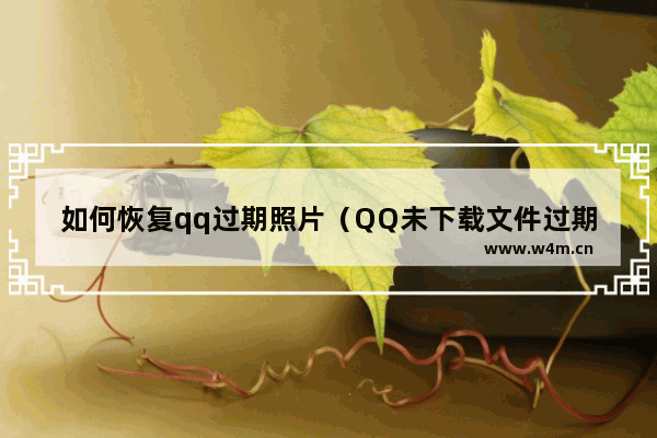 如何恢复qq过期照片（QQ未下载文件过期能恢复吗）