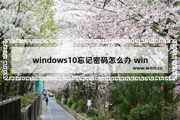 windows10忘记密码怎么办 windows10忘记密码解决办法