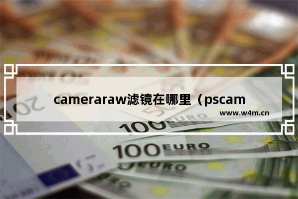 cameraraw滤镜在哪里（pscamera滤镜调色步骤）