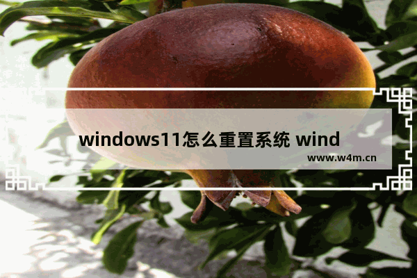 windows11怎么重置系统 windows11重置系统教程