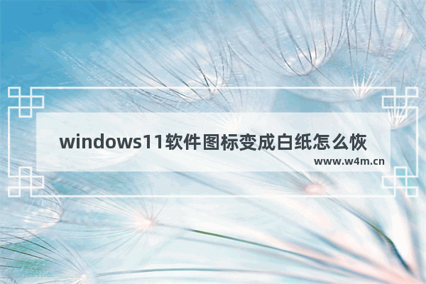 windows11软件图标变成白纸怎么恢复 windows11软件图标变成白纸恢复教程