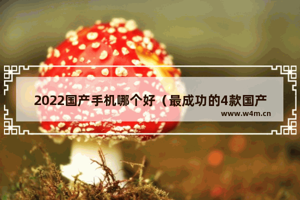 2022国产手机哪个好（最成功的4款国产手机）