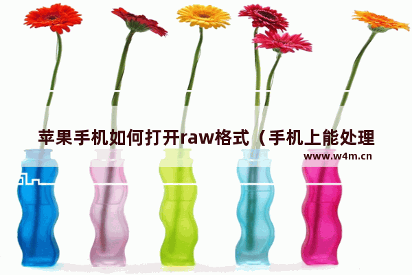 苹果手机如何打开raw格式（手机上能处理raw格式吗）