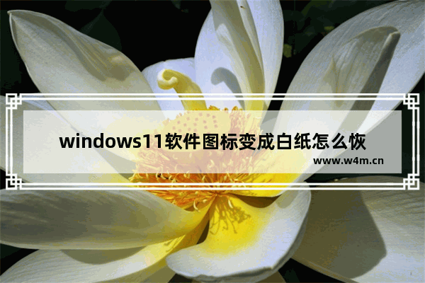 windows11软件图标变成白纸怎么恢复 windows11软件图标变成白纸恢复教程