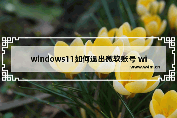 windows11如何退出微软账号 windows11退出微软账号教程