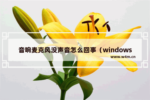 音响麦克风没声音怎么回事（windows10输入设备麦克风不能用咋办）