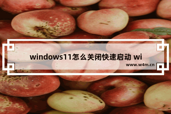 windows11怎么关闭快速启动 windows11关闭快速启动教程