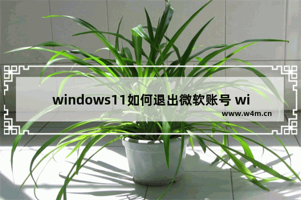 windows11如何退出微软账号 windows11退出微软账号教程