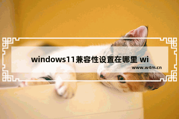 windows11兼容性设置在哪里 windows11兼容性设置位置介绍