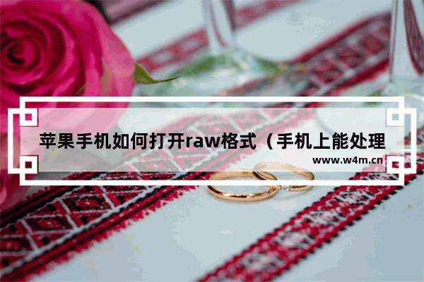 苹果手机如何打开raw格式（手机上能处理raw格式吗）