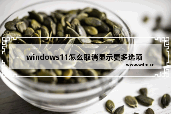 windows11怎么取消显示更多选项 windows11取消显示更多选项教程